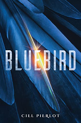 Cover image of Bluebird